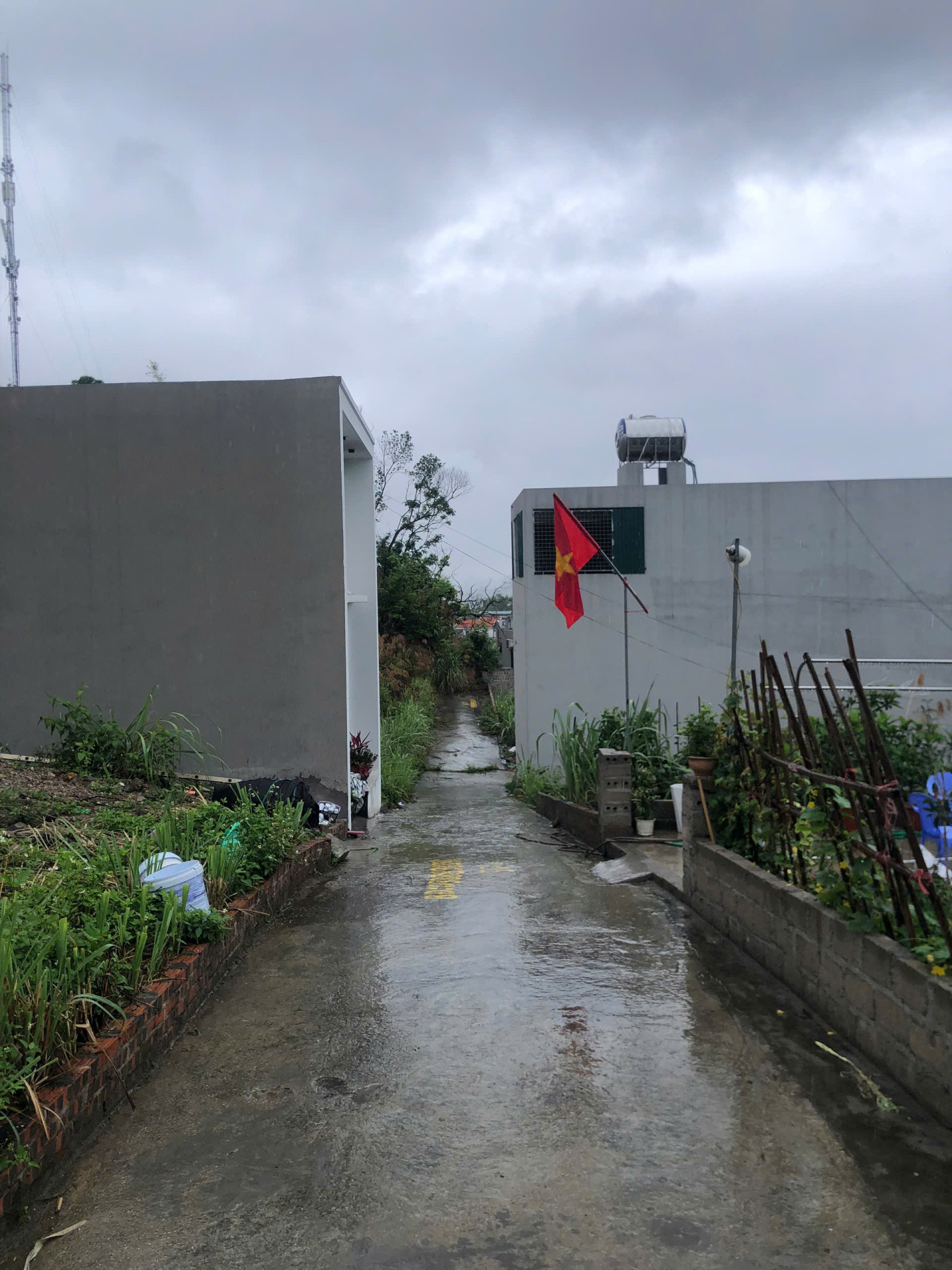 BÁN ĐẤT Ở KHU DÂN CƯ PHƯỜNG HÀ LẦM - TỈNH QUẢNG NINH