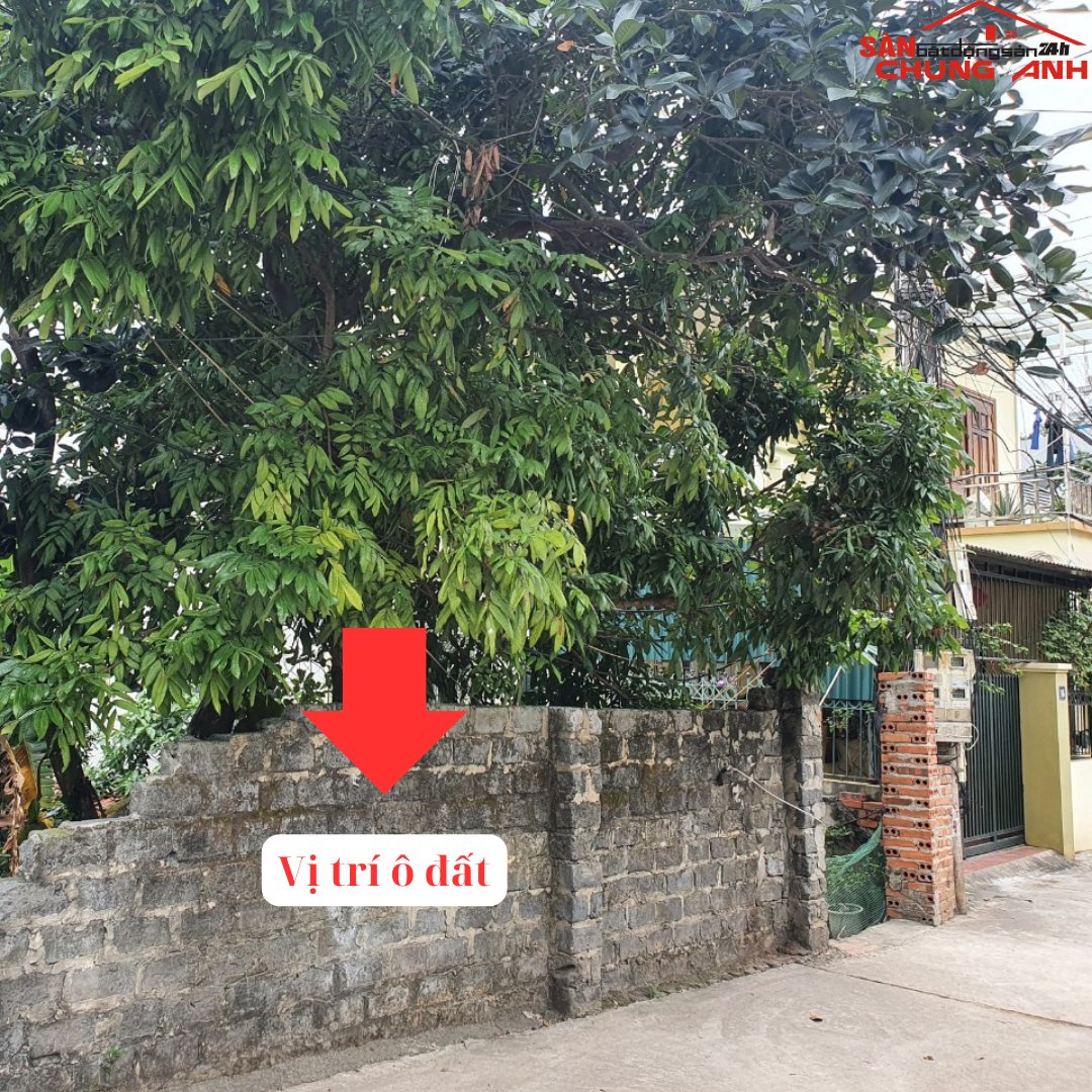 BÁN ĐẤT Ở KHU DÂN CƯ PHƯỜNG BÃI CHÁY - TỈNH QUẢNG NINH