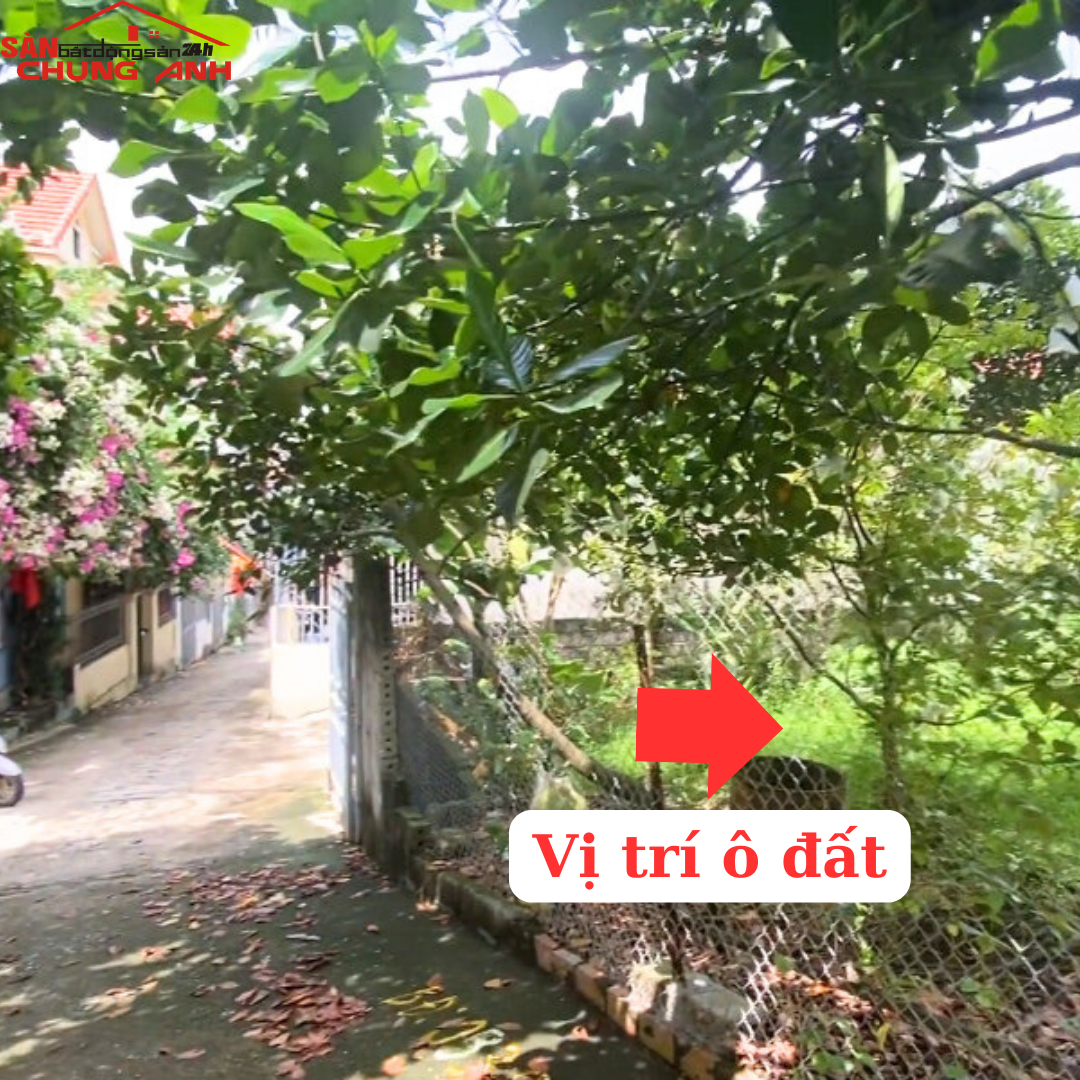 BÁN ĐẤT Ở KHU DÂN CƯ PHƯỜNG BÃI CHÁY - TỈNH QUẢNG NINH