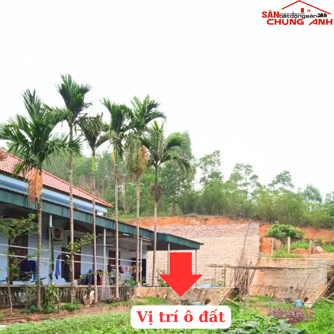 BÁN ĐẤT Ở KHU DÂN CƯ PHƯỜNG VIỆT HƯNG - TỈNH QUẢNG NINH