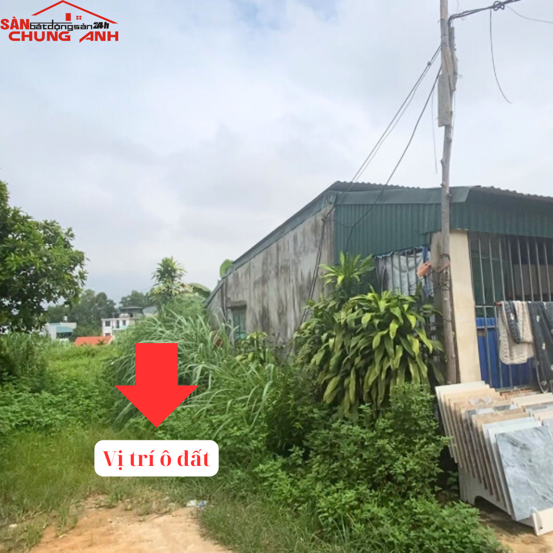 BÁN ĐẤT Ở KHU DÂN CƯ PHƯỜNG VIỆT HƯNG - TỈNH QUẢNG NINH