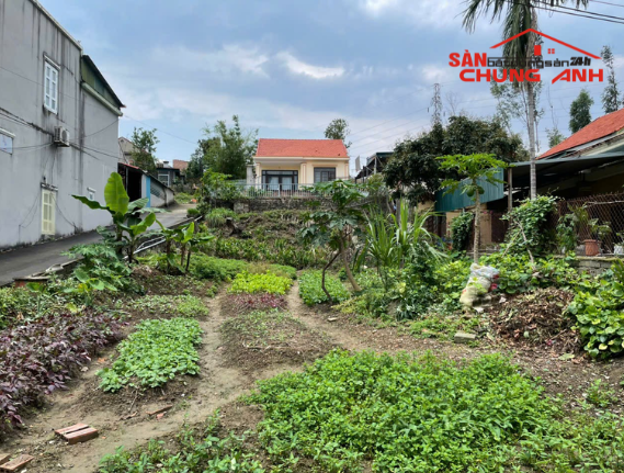 BÁN ĐẤT Ở KHU DÂN CƯ PHƯỜNG VIỆT HƯNG - TỈNH QUẢNG NINH