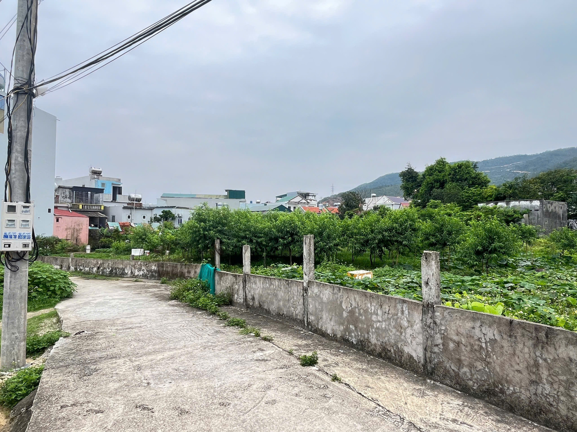 BÁN ĐẤT Ở KHU DÂN CƯ ĐẶC KHU VÂN ĐỒN - TỈNH QUẢNG NINH