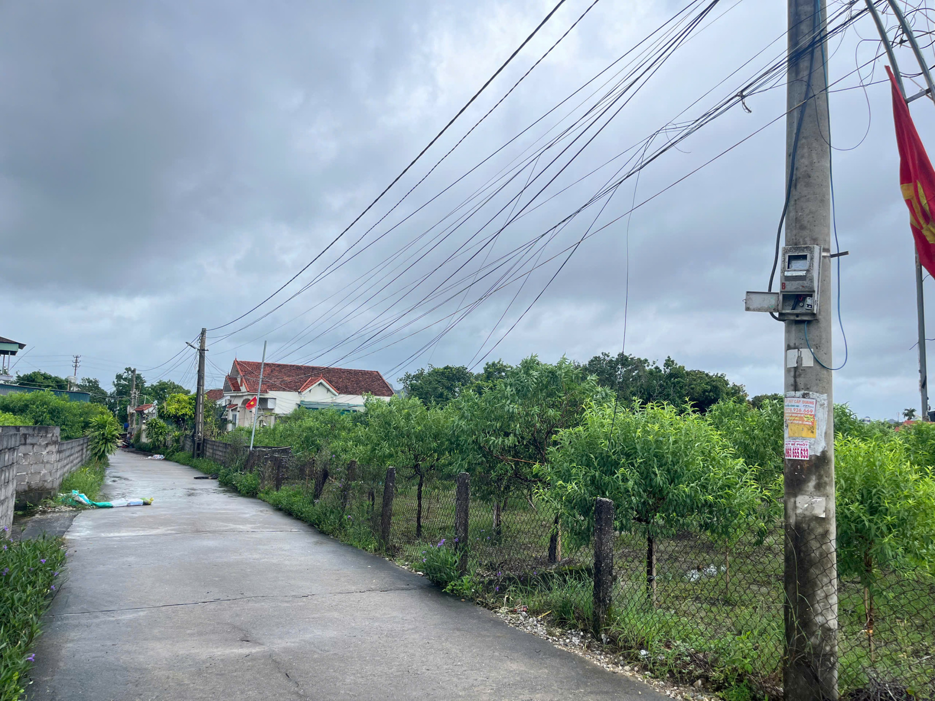 BÁN ĐẤT Ở KHU DÂN CƯ ĐẶC KHU VÂN ĐỒN - TỈNH QUẢNG NINH