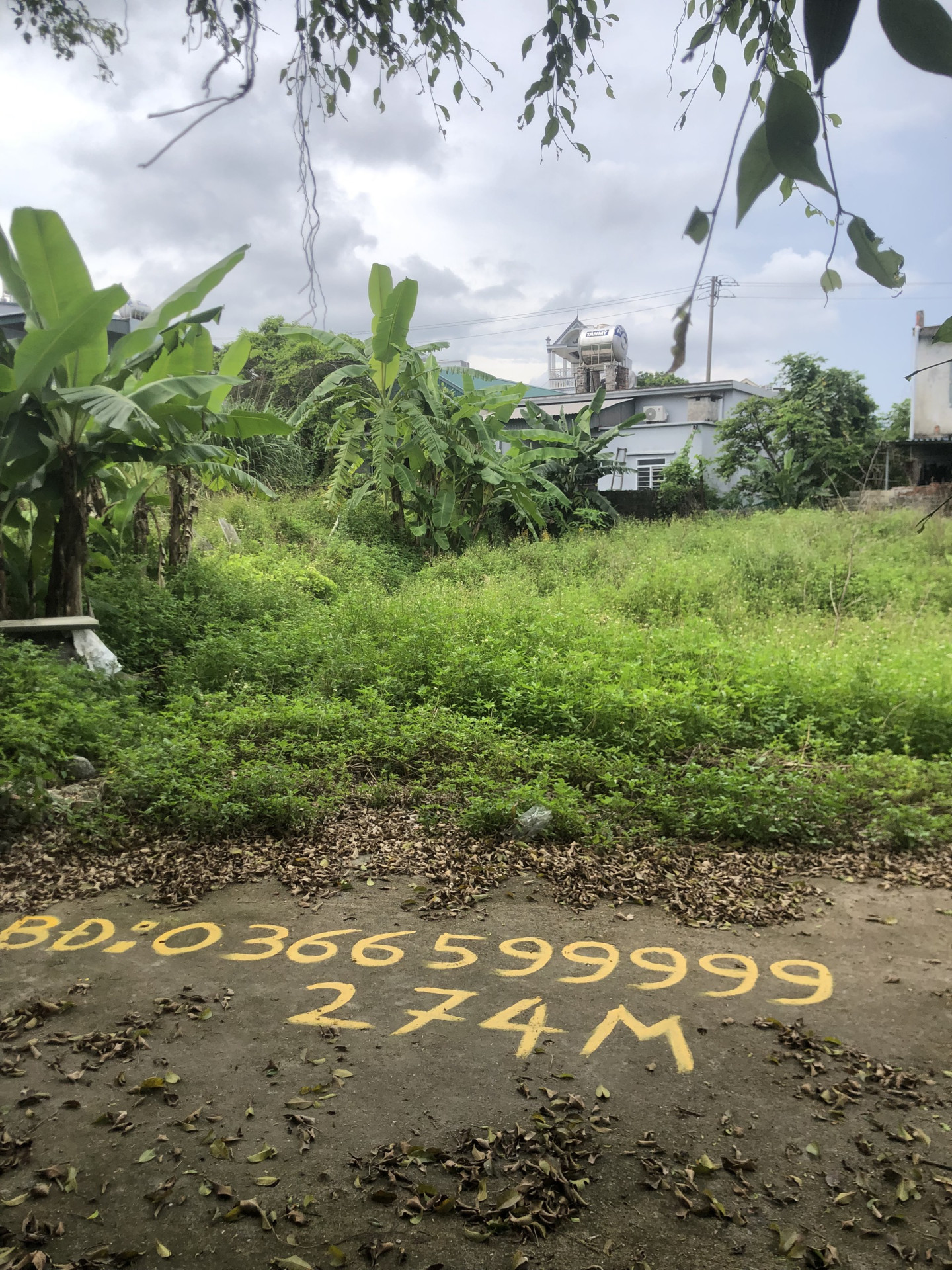 BÁN ĐẤT Ở KHU DÂN CƯ ĐẶC KHU VÂN ĐỒN - TỈNH QUẢNG NINH