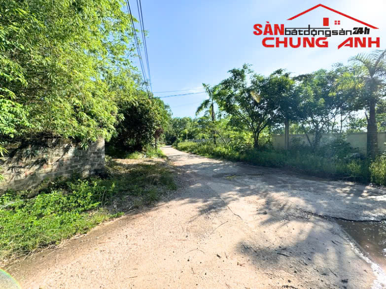 BÁN ĐẤT Ở KHU DÂN CƯ THÔN CÂY SẰM - PHƯỜNG QUẢNG YÊN - TỈNH QUẢNG NINH