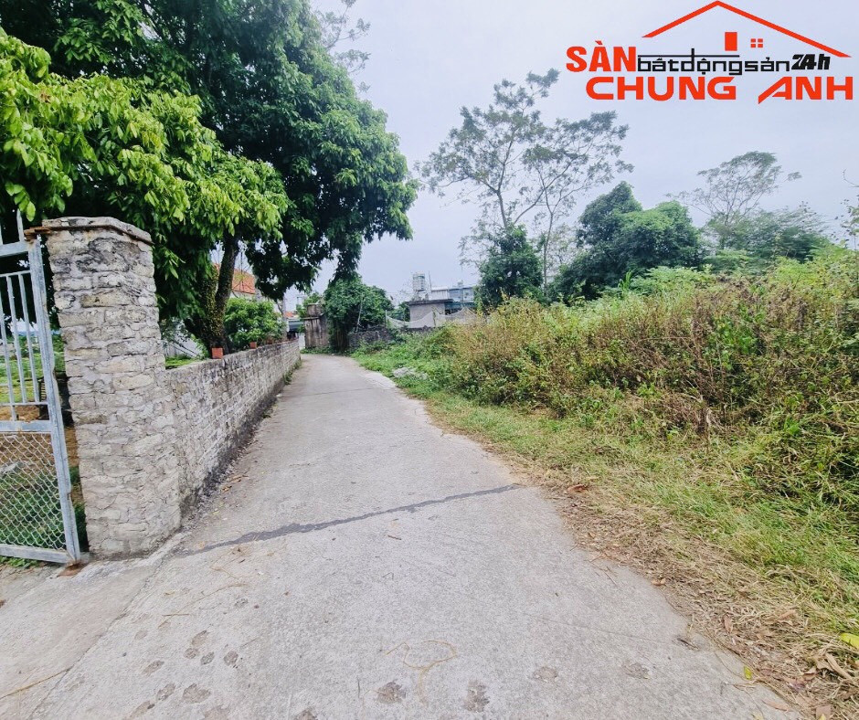 BÁN ĐẤT Ở KHU DÂN CƯ HOÀNG TÂN - PHƯỜNG HÀ AN - TỈNH QUẢNG NINH