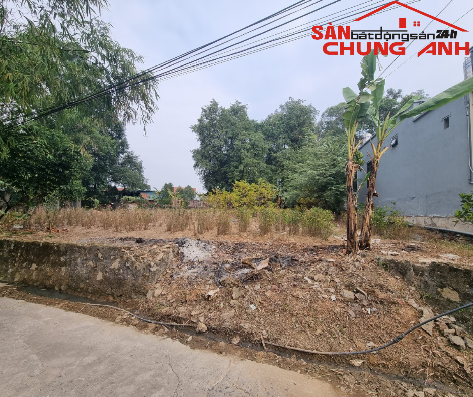 BÁN ĐẤT Ở KHU DÂN CƯ KHU PHỐ ĐÌNH - PHƯỜNG HIỆP HÒA - TỈNH QUẢNG NINH 