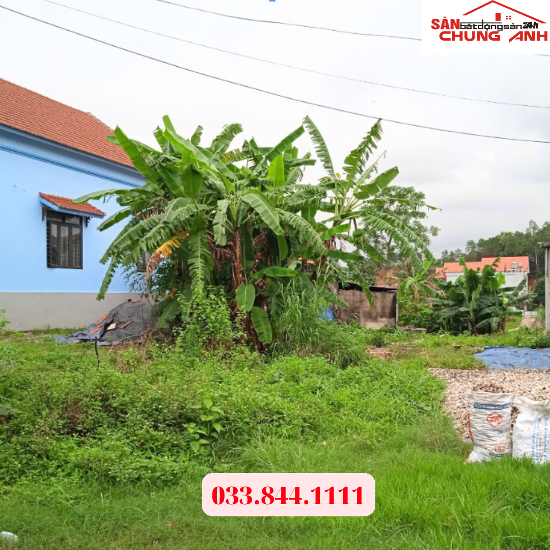 BÁN ĐẤT Ở KHU DÂN CƯ PHƯỜNG HOÀNH BỒ - TỈNH QUẢNG NINH