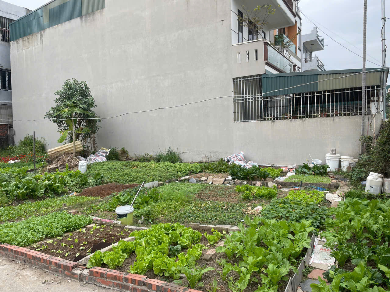 BÁN ĐẤT Ở KHU DÂN CƯ PHƯỜNG VIỆT HƯNG - TỈNH QUẢNG NINH