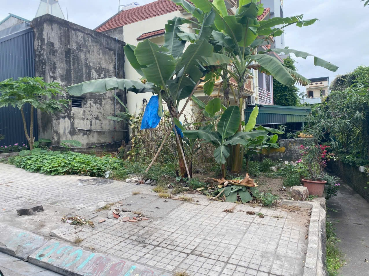 BAN ĐẤT THỔ CƯ PHƯỜNG HÀ TU - QUẢNG NINH