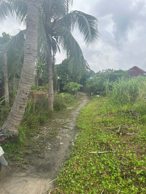 HS88 - BÁN ĐẤT Ở KHU DÂN CƯ PHƯỜNG CAO XANH - TỈNH QUẢNG NINH