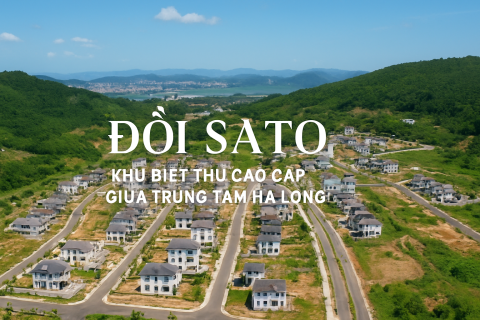 DỰ ÁN ĐỒI SATO - PHƯỜNG CAO XANH - TỈNH QUẢNG NINH