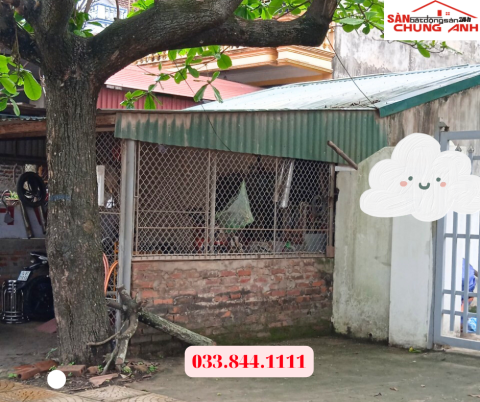 BC262 - BÁN ĐẤT Ở KHU DÂN CƯ PHƯỜNG HOÀNH BỒ - TỈNH QUẢNG NINH