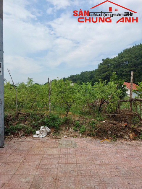 VD512 - BÁN ĐẤT Ở KHU DÂN CƯ ĐẶC KHU VÂN ĐỒN - TỈNH QUẢNG NINH
