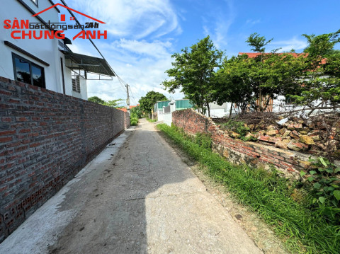 QY605 - BÁN ĐẤT Ở KHU DÂN CƯ PHỐ CỔNG BẤC - PHƯỜNG HIỆP HÒA - TỈNH QUẢNG NINH 