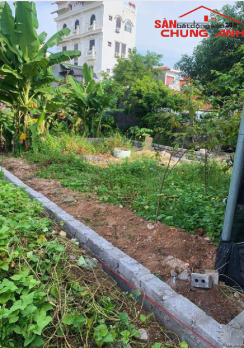 BC683 - BÁN ĐẤT Ở KHU DÂN CƯ PHƯỜNG HOÀNH BỒ - TỈNH QUẢNG NINH