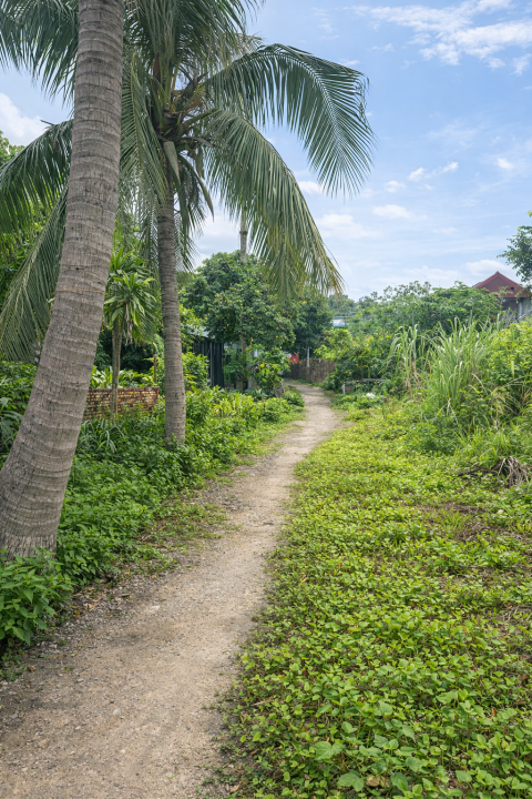 HS88 - BÁN ĐẤT Ở KHU DÂN CƯ PHƯỜNG CAO XANH - TỈNH QUẢNG NINH